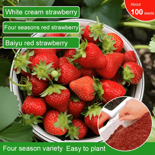 All-year-round strawberry seeds🍓