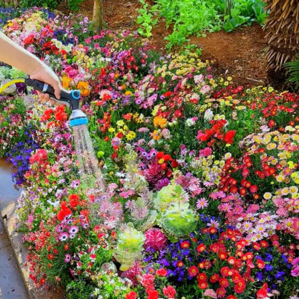 Wildflower Seed Mix